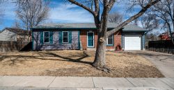 One Level Living! Ranch Home 3 Bedroom 1 Bath 1 Car Garage-4570 Newton Dr. $335,000-SOLD $345,000